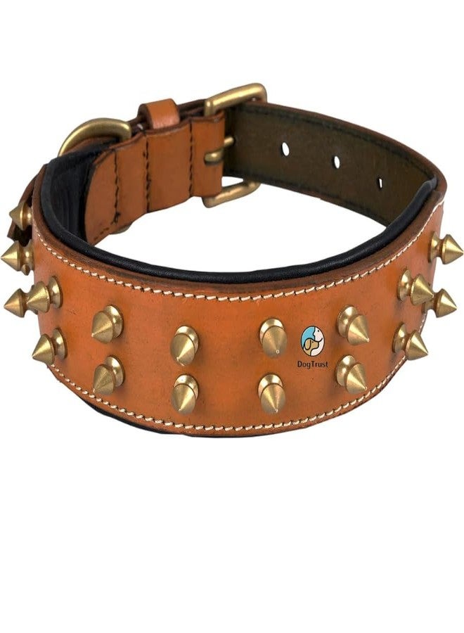 KittuPetSpiked Studded Dog Collar, Big Sharp Spike Dog Collars, Geniune Leather, Neck Protection from Bite, Adjustable, Fit Pitbull Doberman German Shepherd, for Medium Large Dogs - Image 1